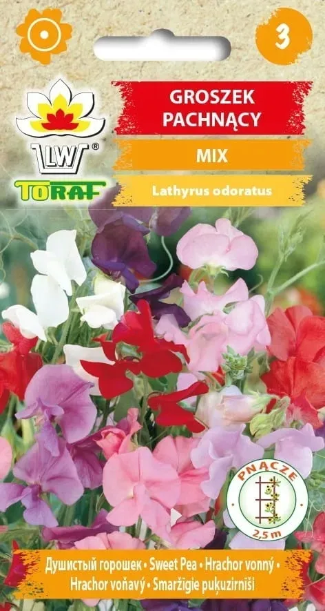 groszek-pachnacy-mix-3g-t