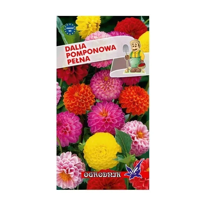 dalia-pomponowa-mix-05g-o