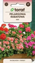 pelargonia-rabatowa-mix-01g-t