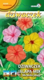 dziwaczek-jalapa-2g-l