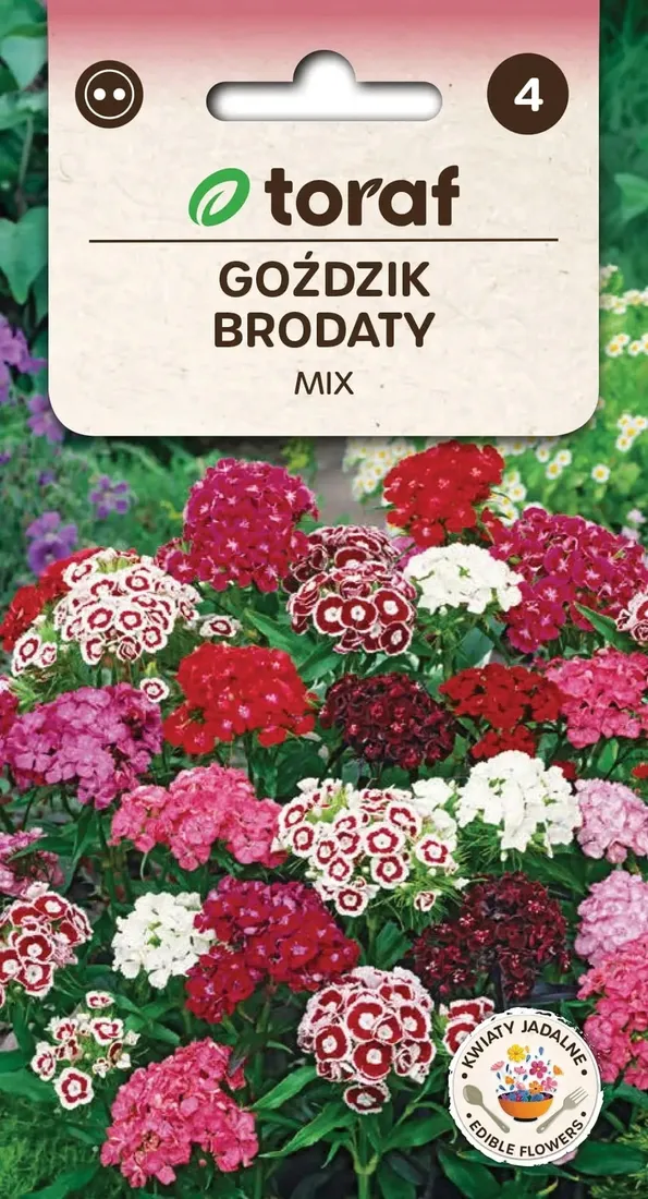 gozdzik-brodaty-mix-1g-t