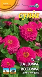 cynia-daliowa-rozowa-1g-l