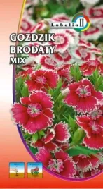 gozdzik-brodaty-pelny-mieszanka-1g-l