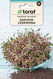 nasiona-na-kielki-kapusta-czerwona-10g-t