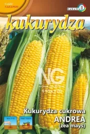 kukurydza-cukrowa-andrea-5g-l