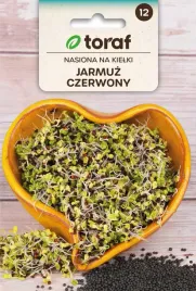 nasiona-na-kielki-jarmuz-czerwony-10g-t