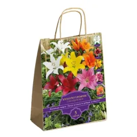 zestaw-prestige-lilie-azjatyckie-5-cebulek-idealny-na-prezent