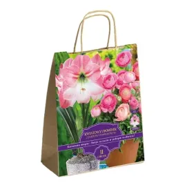 zestaw-prestige-hippeastrum-i-jaskry-11-roslin-idealny-na-prezent