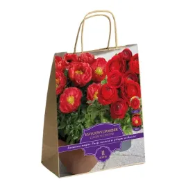 zestaw-prestige-piwonia-i-jaskry-11-roslin-idealny-na-prezent