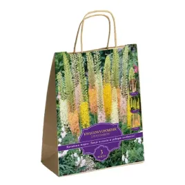 zestaw-prestige-pustynniki-himalajskie-3-klacza-sadzonka-sadzonki-klacze