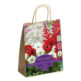 zestaw-prestige-patriotyczne-barwy-22-rosliny-sadzonka-sadzonki-cebule-cebu