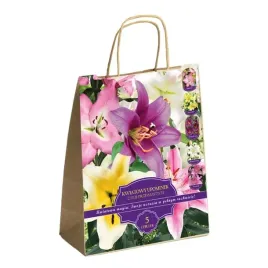 zestaw-prestige-lilie-drzewiaste-5-cebulek-idealny-na-prezent