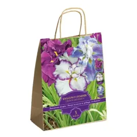 zestaw-prestige-irysy-japonskie-3-klacza-idealny-na-prezent