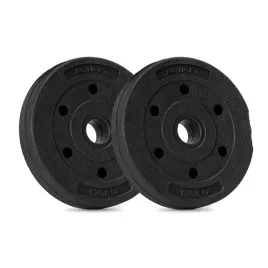 obciazenie-bitumiczne-125-kg-2-szt-talerz-kompozytowy-29-mm-krazek-do-szt