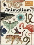 animalium-wyd-3