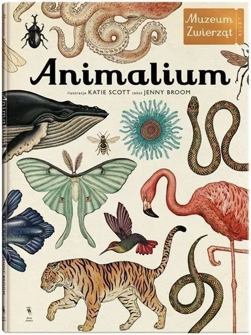 animalium-wyd-3