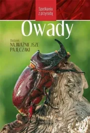 spotkania-z-przyroda-owady
