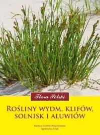 flora-polski-rosliny-wydm-klifow-solnisk