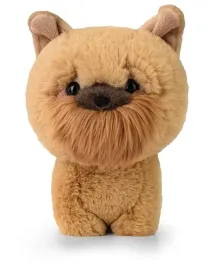 maskotka-teddy-pets-griffon-bruxellois