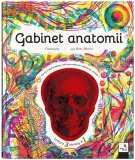 gabinet-anatomii