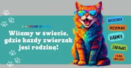 nature-s-protection-prime-mokra-karma-dla-kota-sterylizowny-losos-dorsz-85g