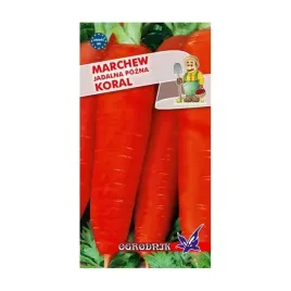 marchew-koral-pozna-5g-o