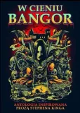w-cieniu-bangor