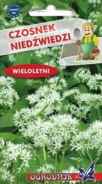 czosnek-niedzwiedzi-05g-o
