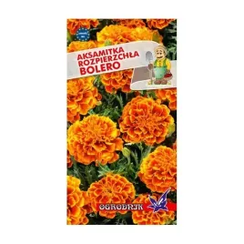 aksamitka-rozpierzchla-bolero-1g-o