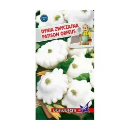 dynia-zwyczajna-patison-orfeus-2g-o