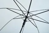 parasolka-przezroczysta-biala-kod-producenta-5902802909107