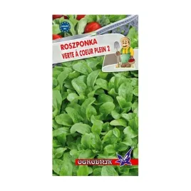 roszponka-verte-coeur-plein-1g-o