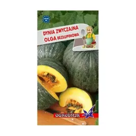 dynia-zwyczajna-olga-bezlupinowa-2g-o