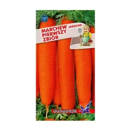 marchew-pierwszy-zbior-wczesna-5g-o