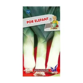 por-elefant-sredniopozny-jesienny-1g-o