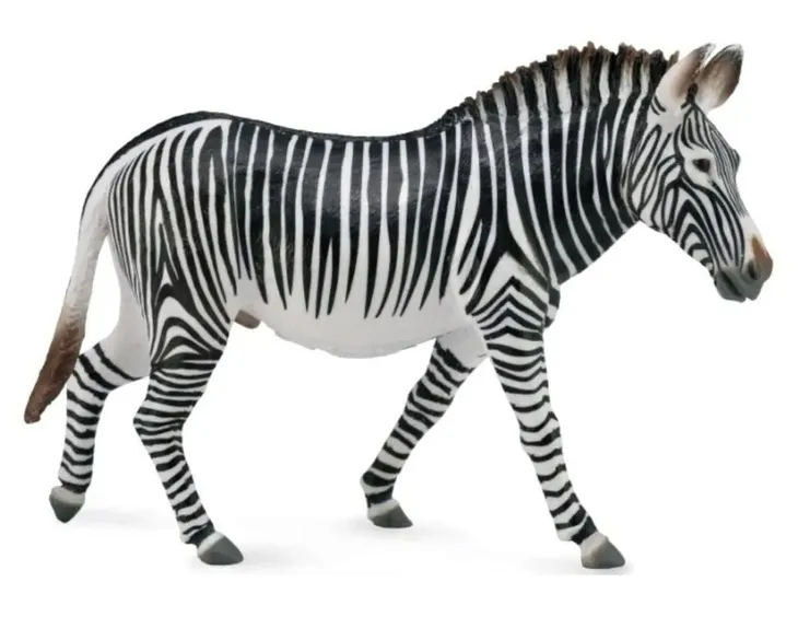 zebra-grevy-s