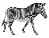 zebra-grevy-s