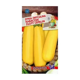 dynia-zloty-cepelin-2g-o