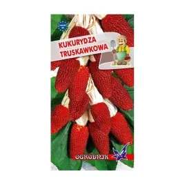 kukurydza-ozdobna-truskawkowa-2g-o