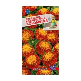 aksamitka-rozpierzchla-kolombina-1g-o