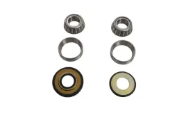 lozyska-glowki-ramy-z-uszczelniaczami-gas-gas-mc-65-24-all-balls-ktm-sx