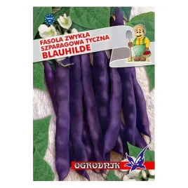 fasola-fioletowa-tyczna-blauhilde-20g-o