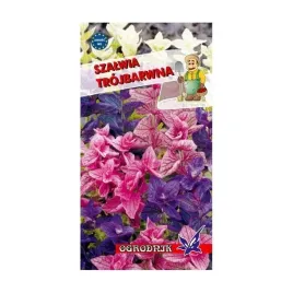 szalwia-trojbarwna-05g-o