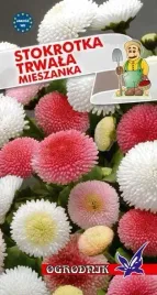 stokrotka-trwala-mieszanka-02g-o