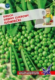 groch-siewny-cukrowy-ilowiecki-40g-o