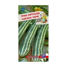 dynia-zwyczajna-cukinia-tapir-2g-o