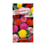 dalia-pomponowa-mix-05g-o