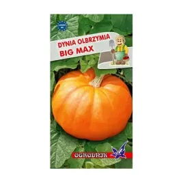 dynia-olbrzymia-big-max-3g-o