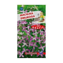 maciejka-dwuroga-2g-o