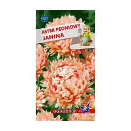 aster-peoniowy-janina-1g-o